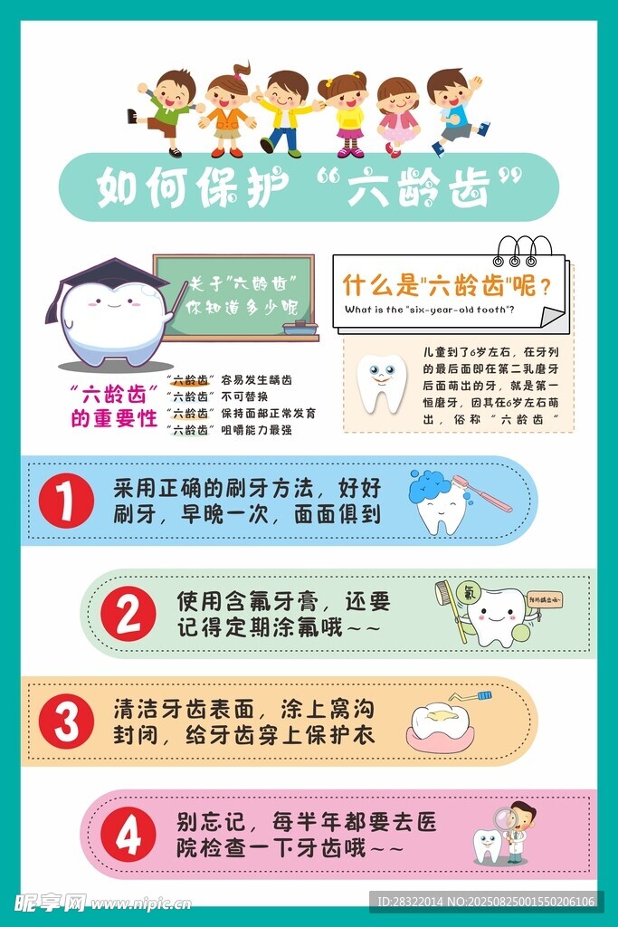 六龄齿