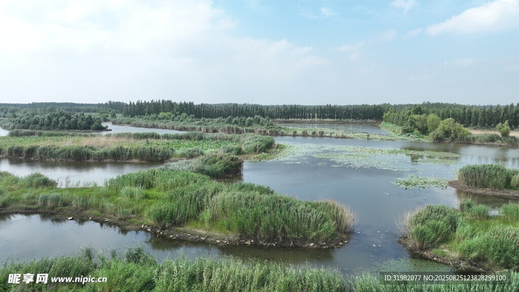 滨湖国家湿地公园