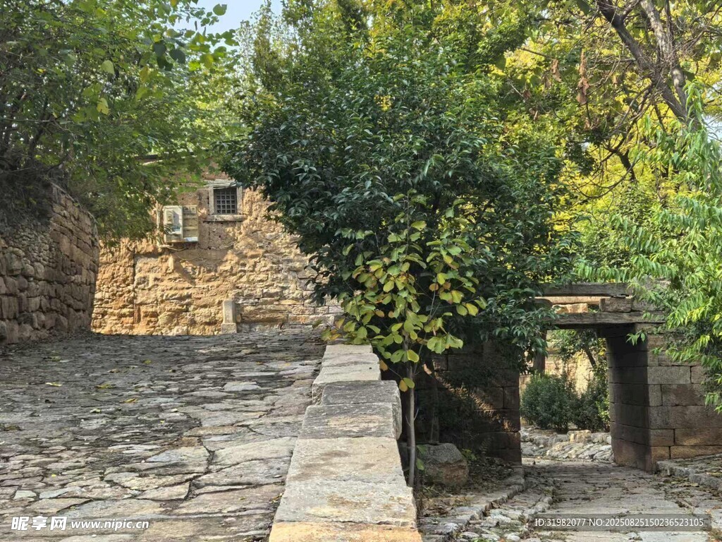 石径旁的绿植与古朴景致