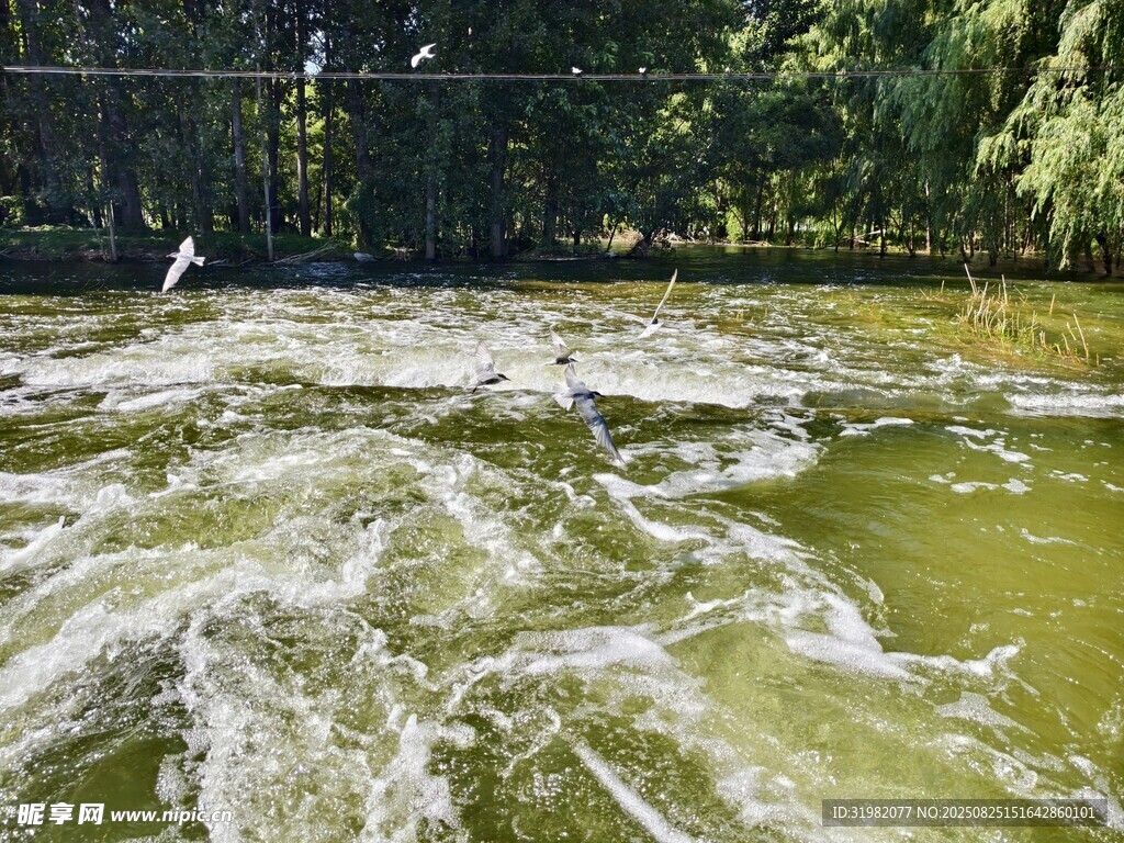 湍急的河流