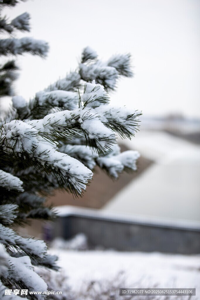 运河之心戴村坝雪景