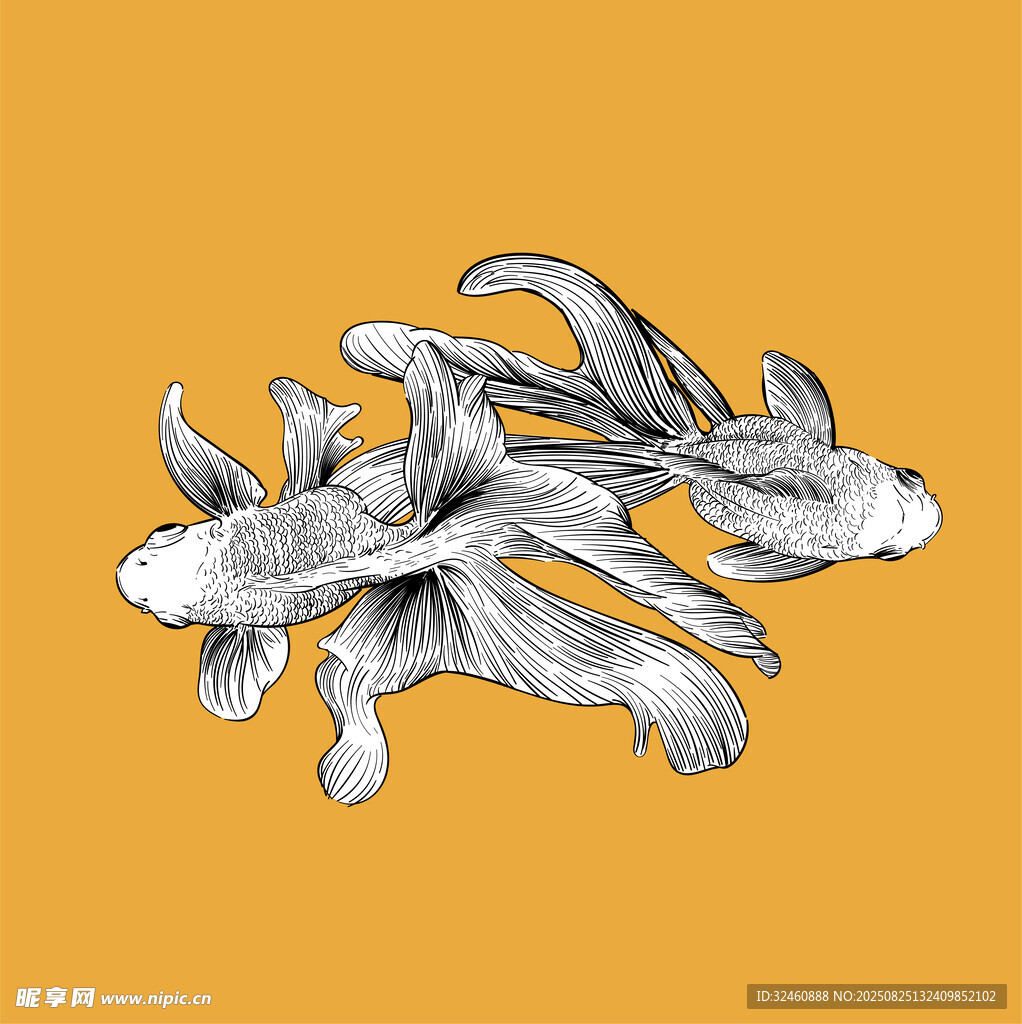 手绘金鱼插画艺术作品