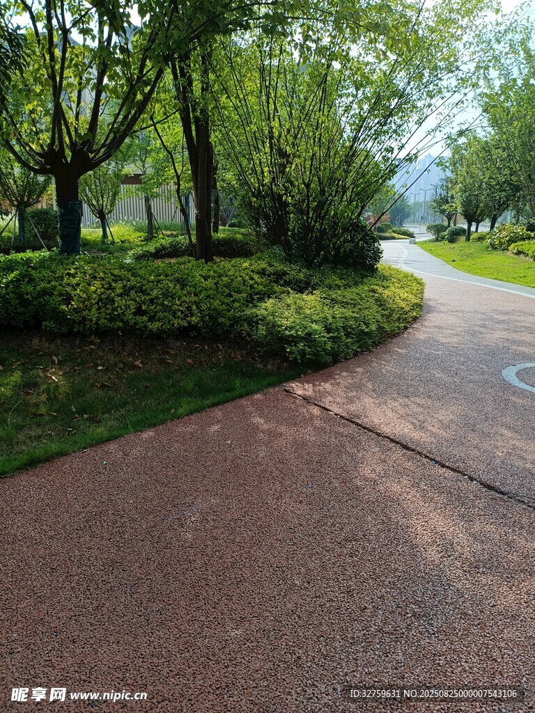 林间红径