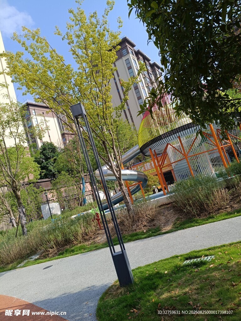 城市中的绿植与建筑景观