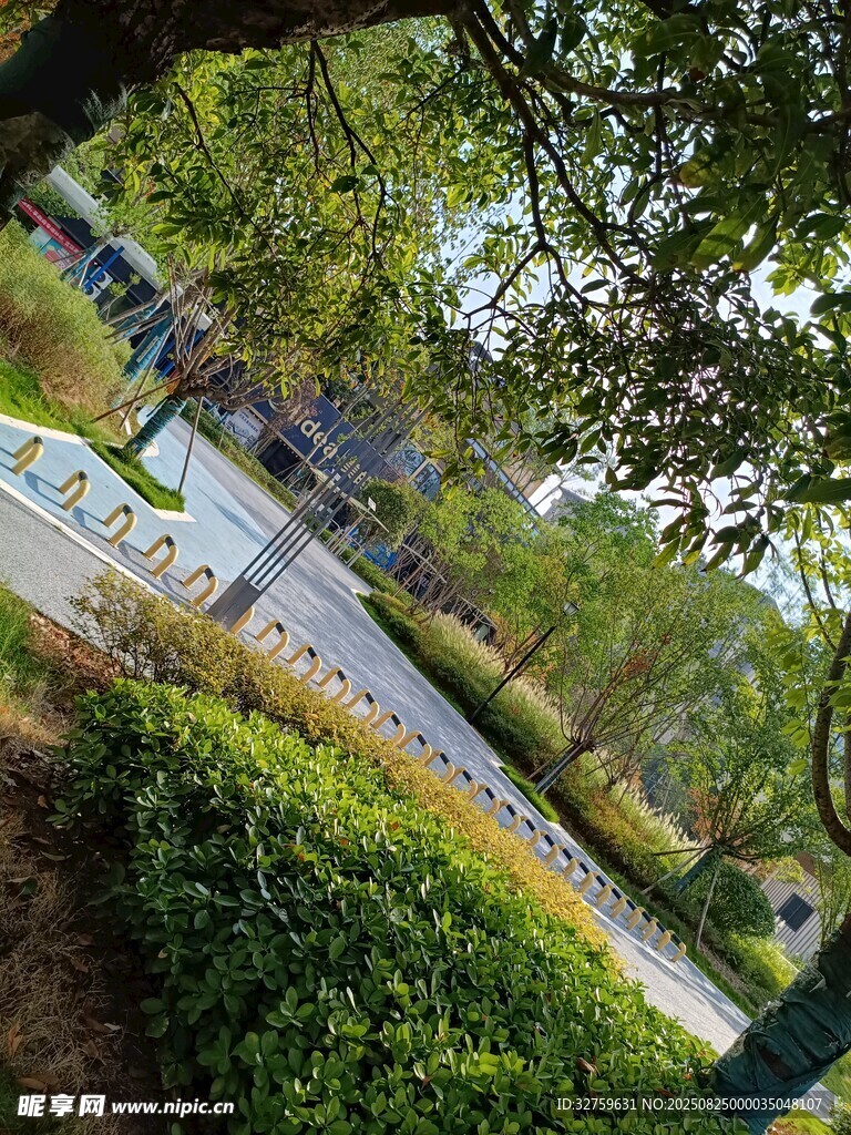 绿意盎然的公园景观