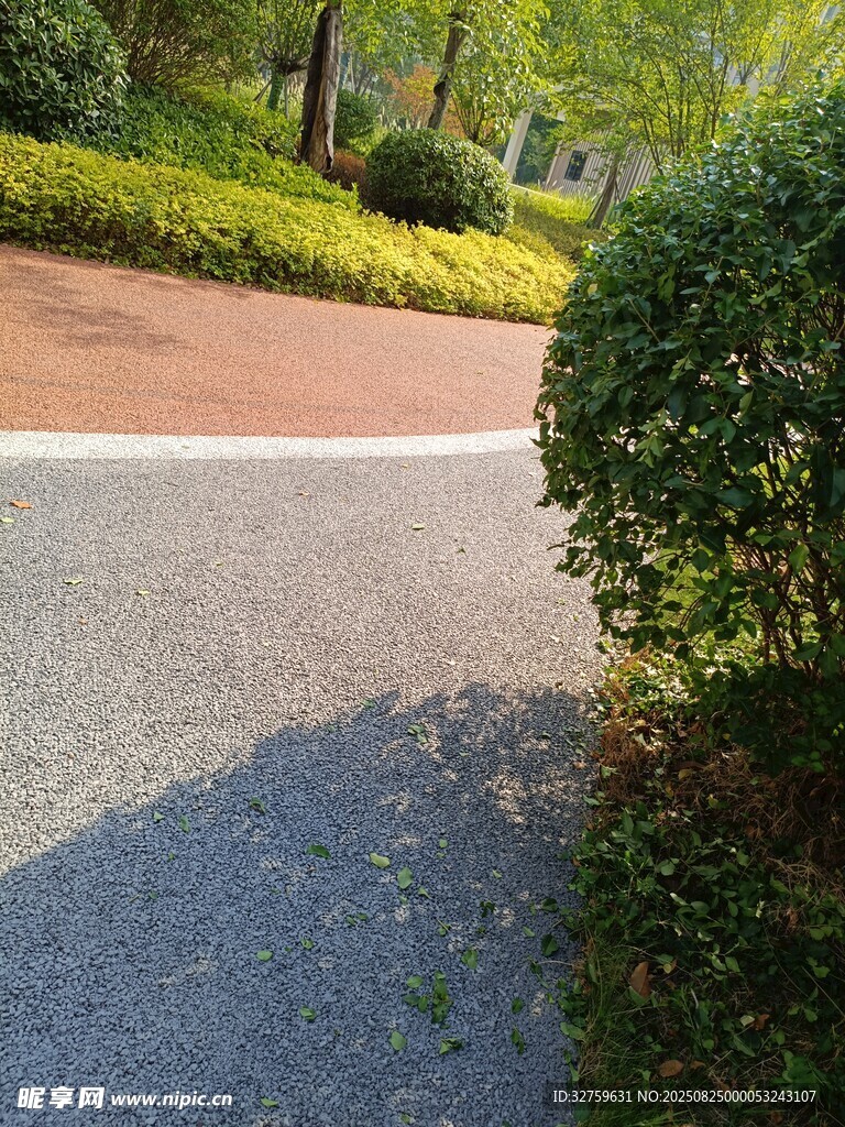 公园中的弯曲小径与绿植