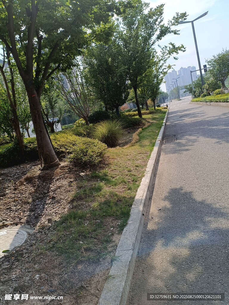 城市林荫小道景观