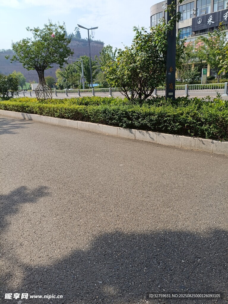 城市道路旁的绿植景观