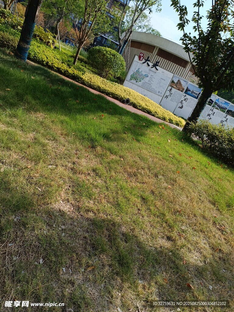 户外草坪旁的住宅景观