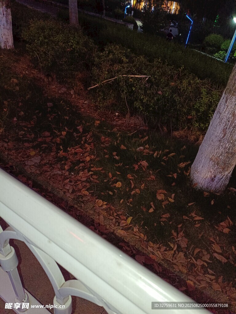 夜晚路边的绿植与栏杆