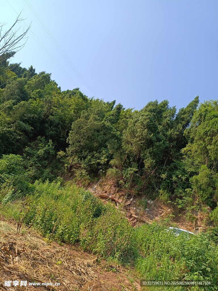山坡绿植景观
