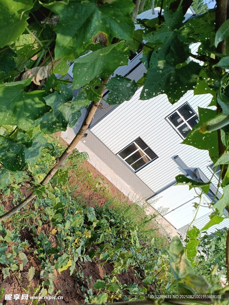 林间小屋