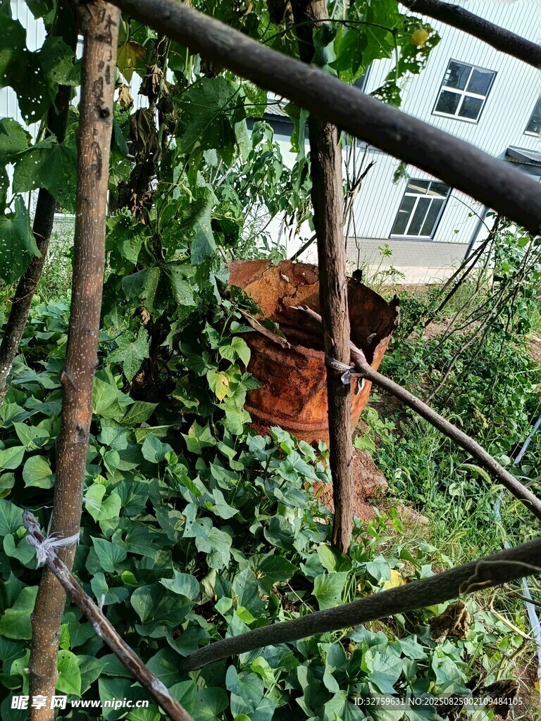生锈机械被绿植缠绕
