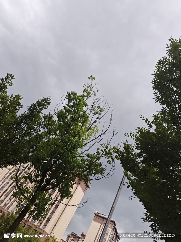 城市绿树间的天空景象