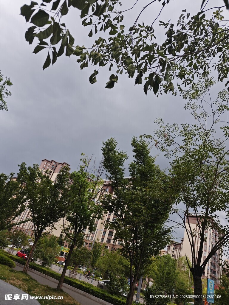 绿树掩映下的城市景致