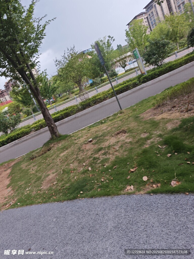 小区绿化道路景观