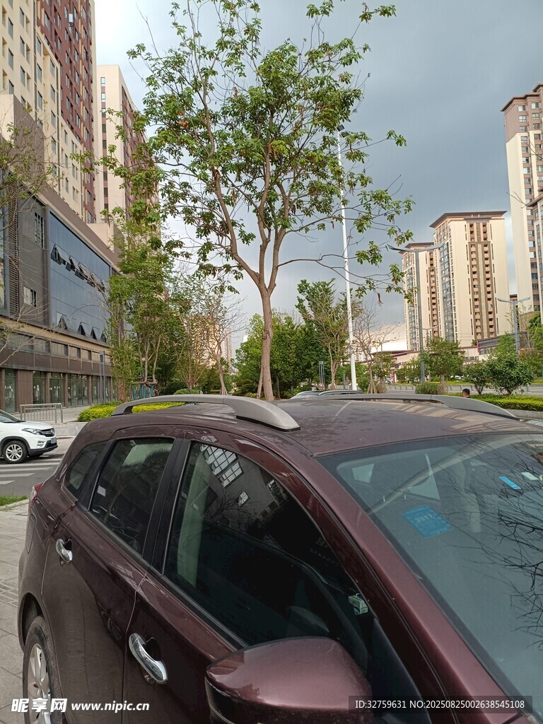 城市街道边的一辆棕色汽车