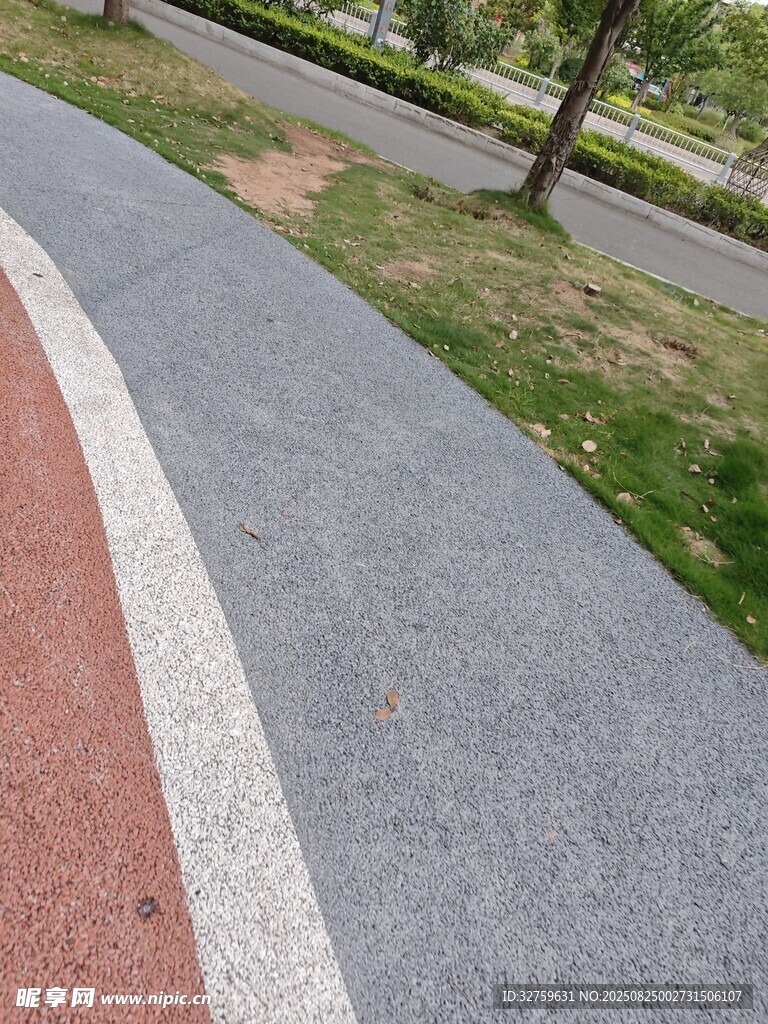 彩色步道边的草地与树木