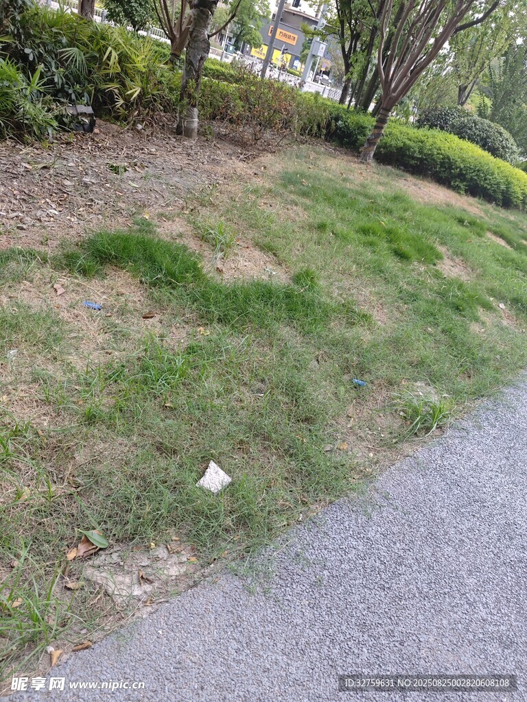 路边草地现垃圾