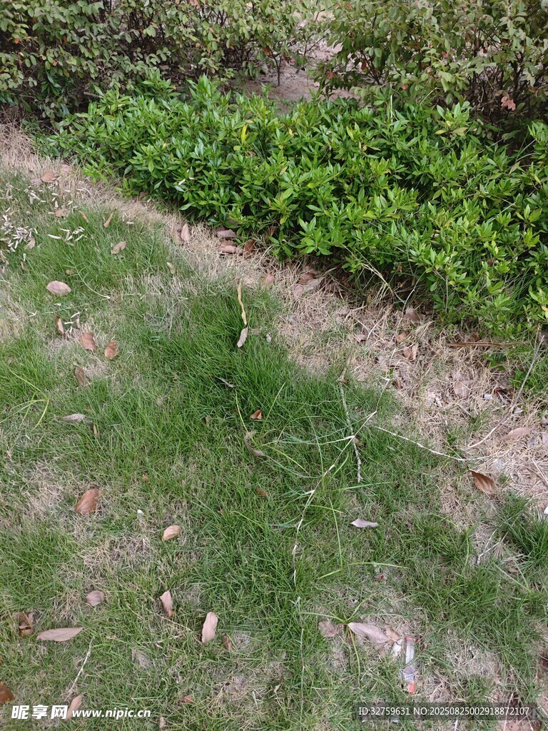 户外草地与绿植景观