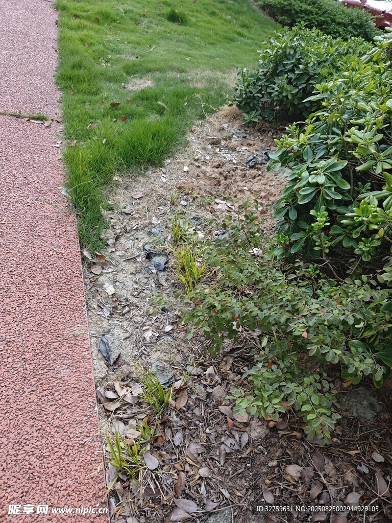 路边绿植与碎石景观