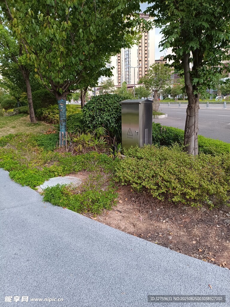 路边绿植景观