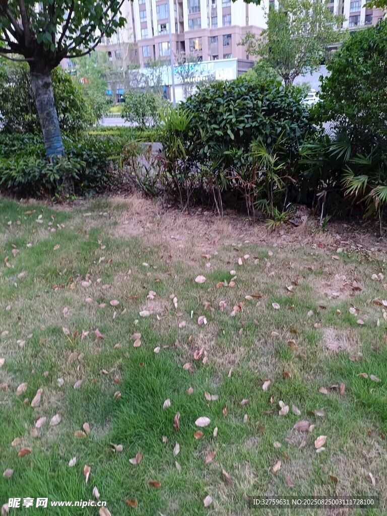 户外草地及绿植景观