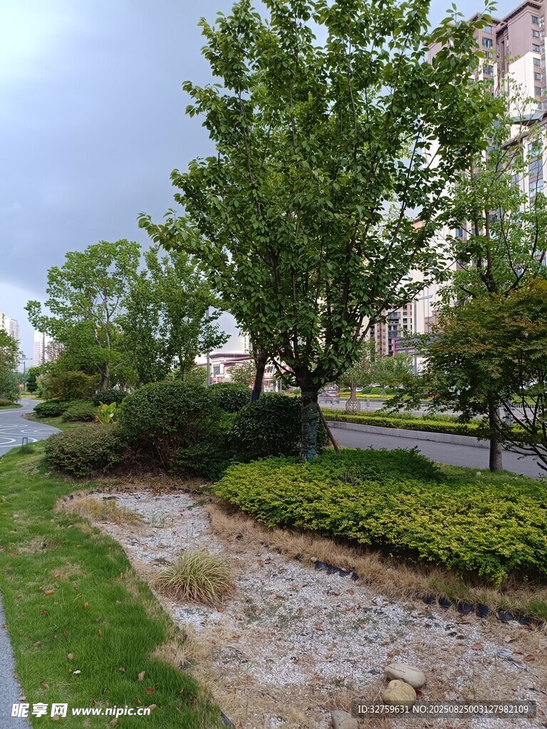 小区绿植景观一角