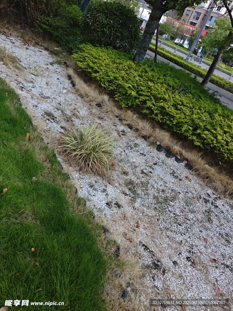 城市中碎石铺就的绿地小径
