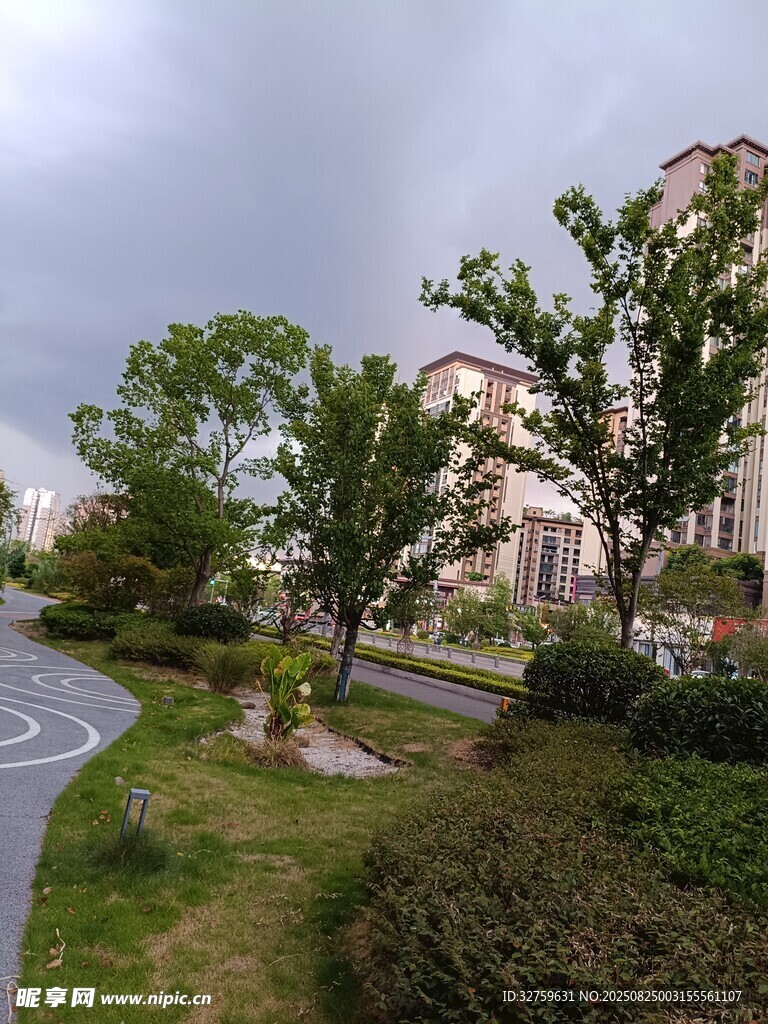 小区内的静谧绿化景观
