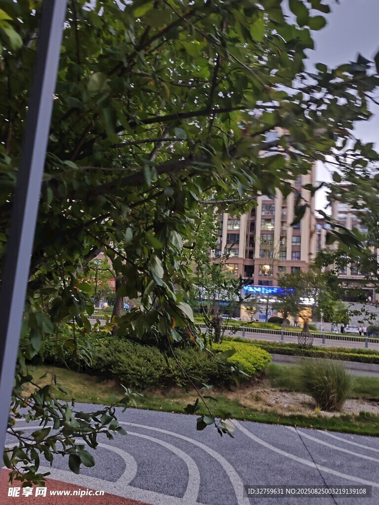 城市中的宁静绿化景观