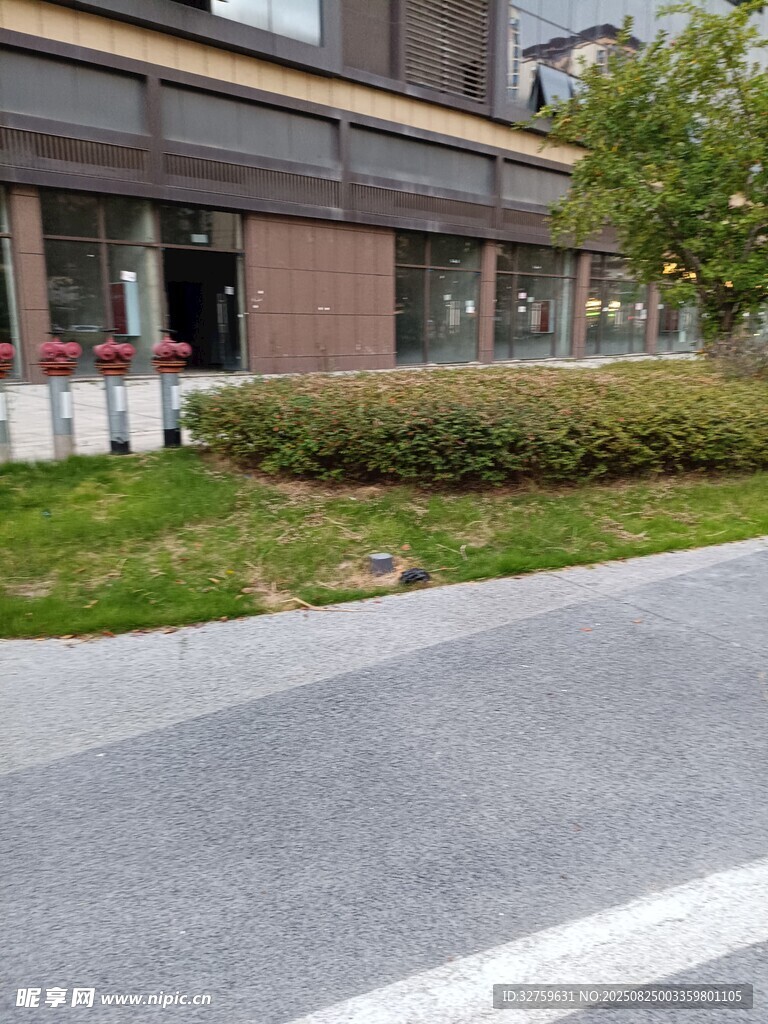 街边建筑旁的绿化景观