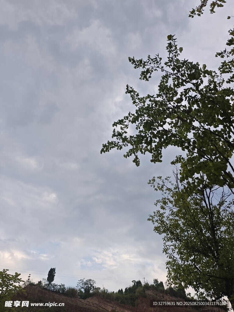 天空下的绿树与朦胧远景