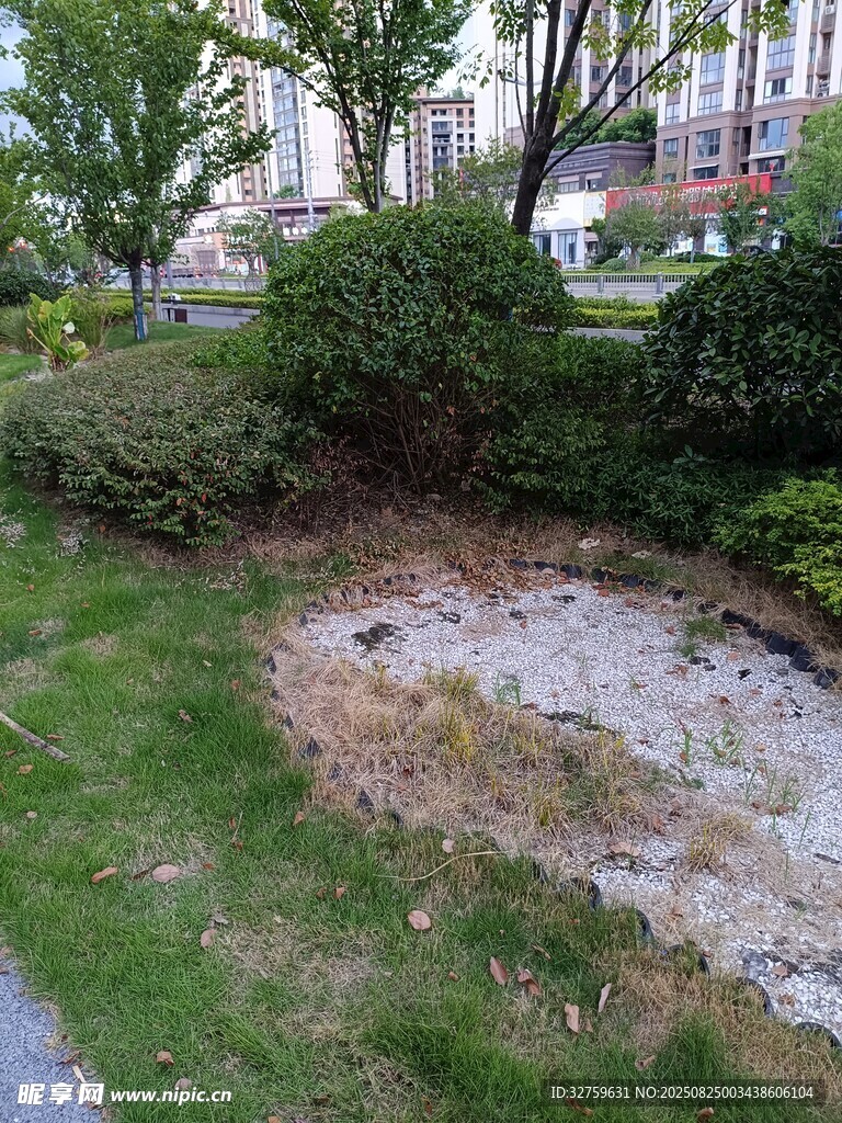 小区内一处光秃的草地