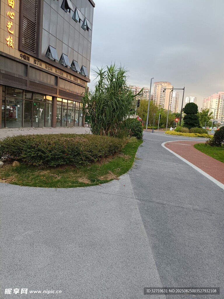 城市街道旁的建筑与绿化
