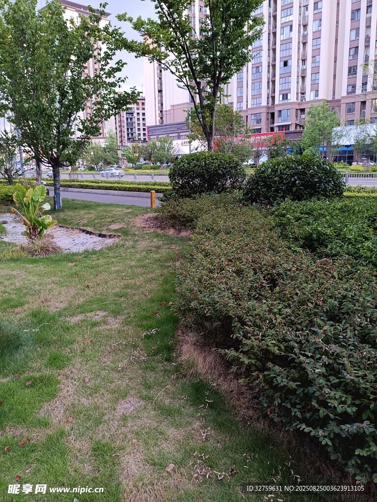 城市中的绿意花园景观