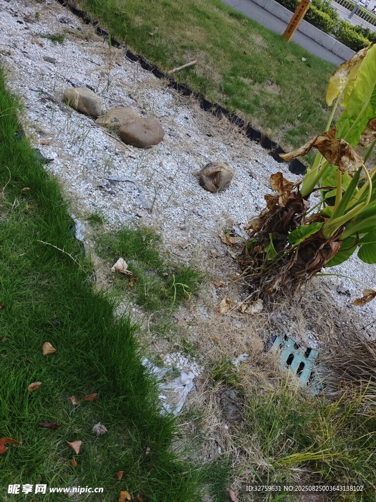 户外草地中的石质物件