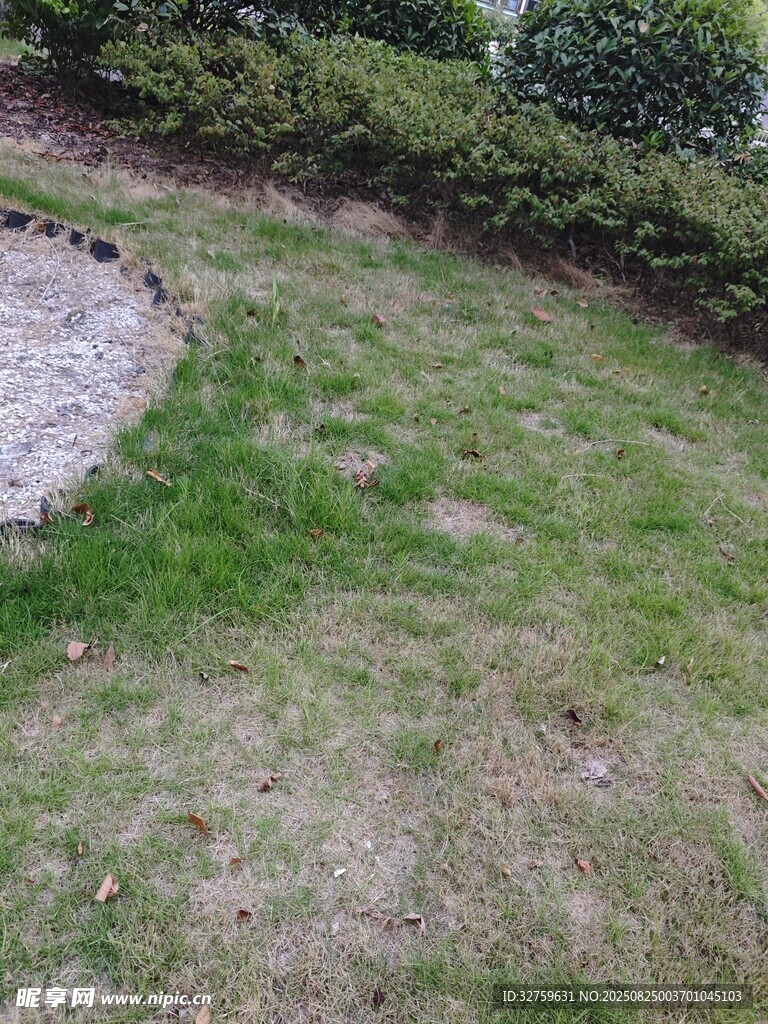 户外草地与绿植景观