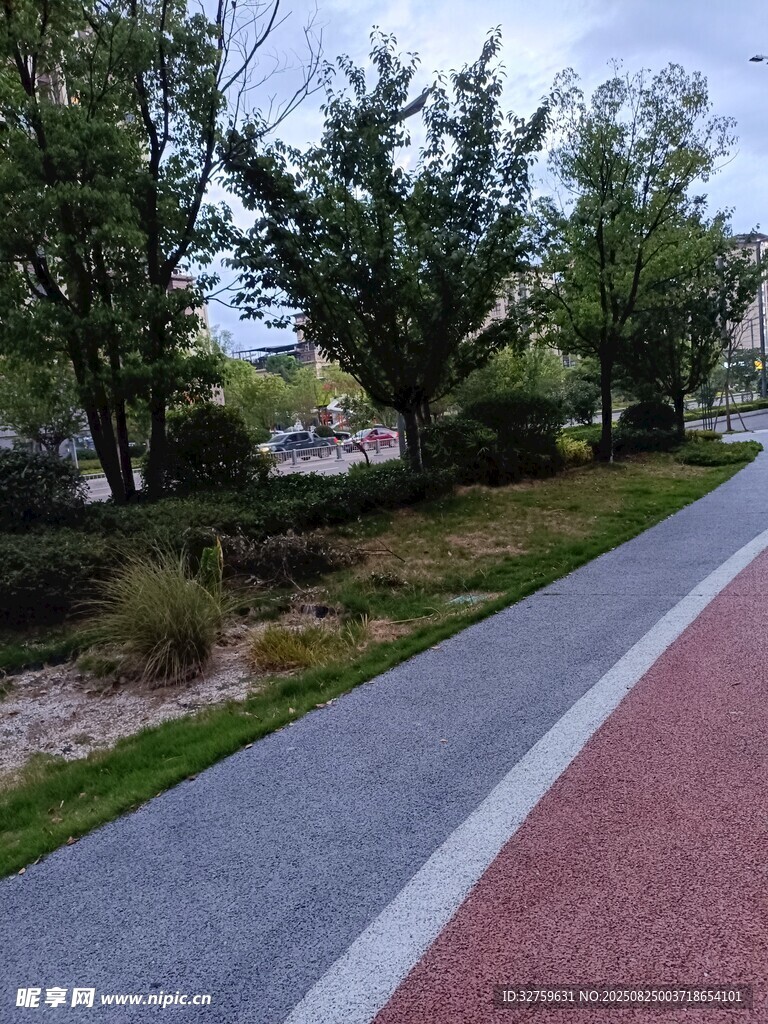城市中的多彩步道与绿植