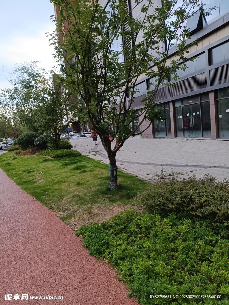 城市中静谧的绿植小径