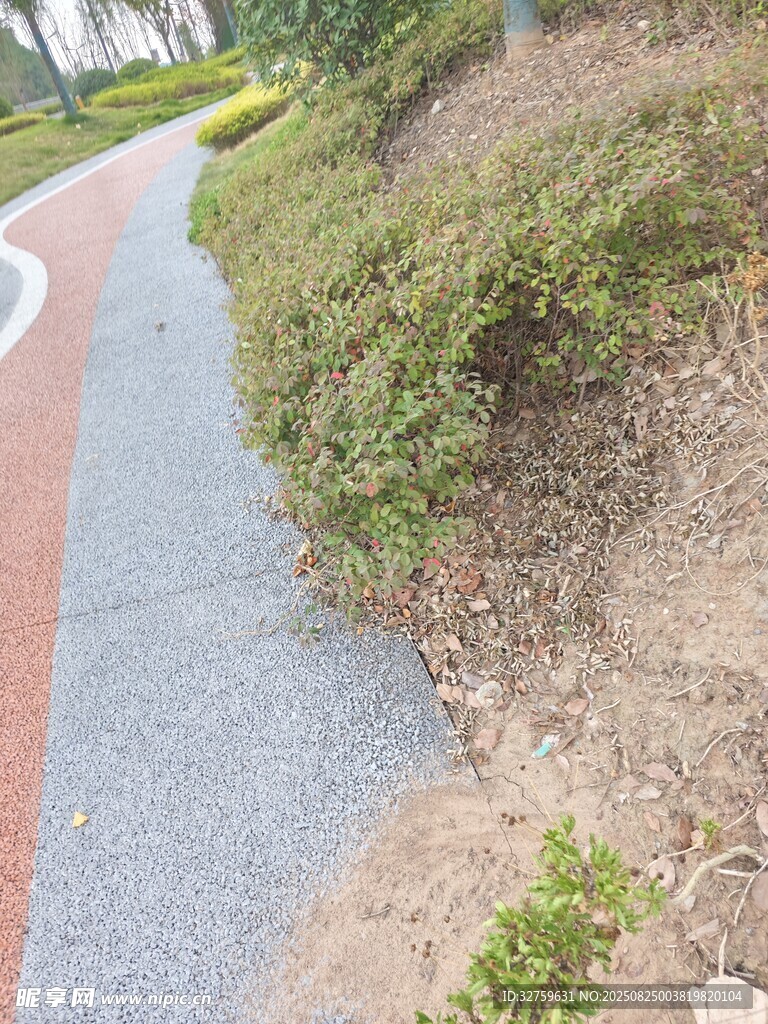 公园彩色步道旁绿植景观