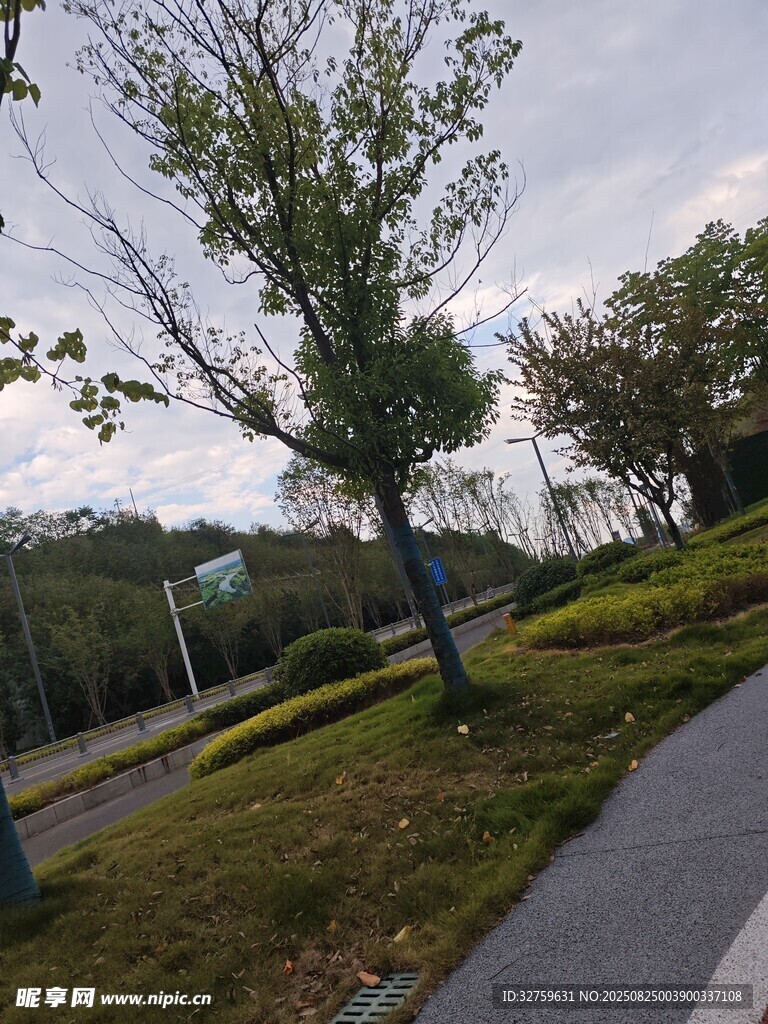 公园绿意盎然的小径景观