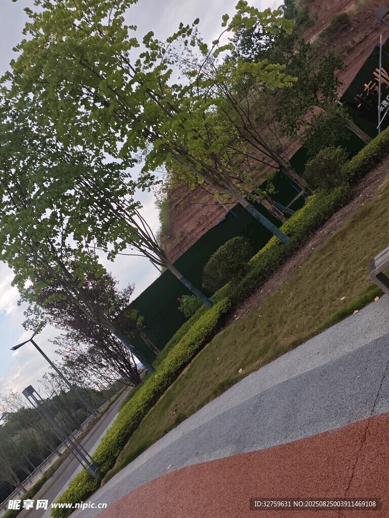 城市街边绿植景观