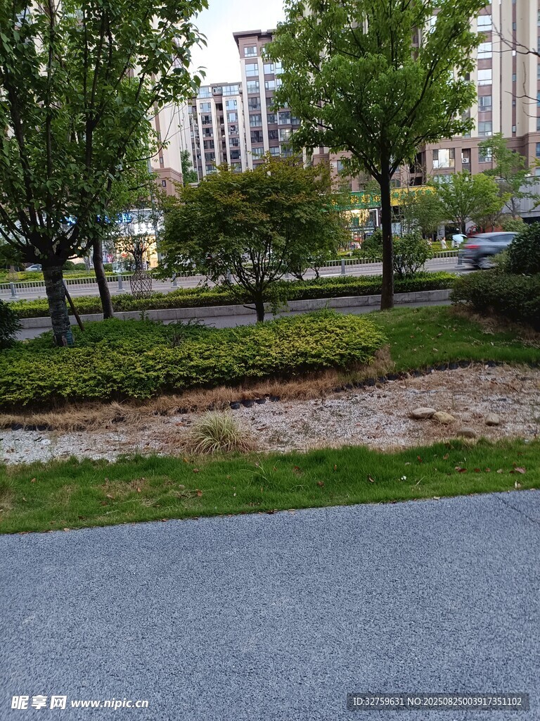 城市路边绿化景观