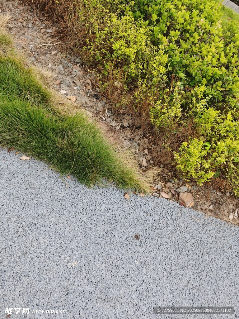 路边草地与灰色路面景观