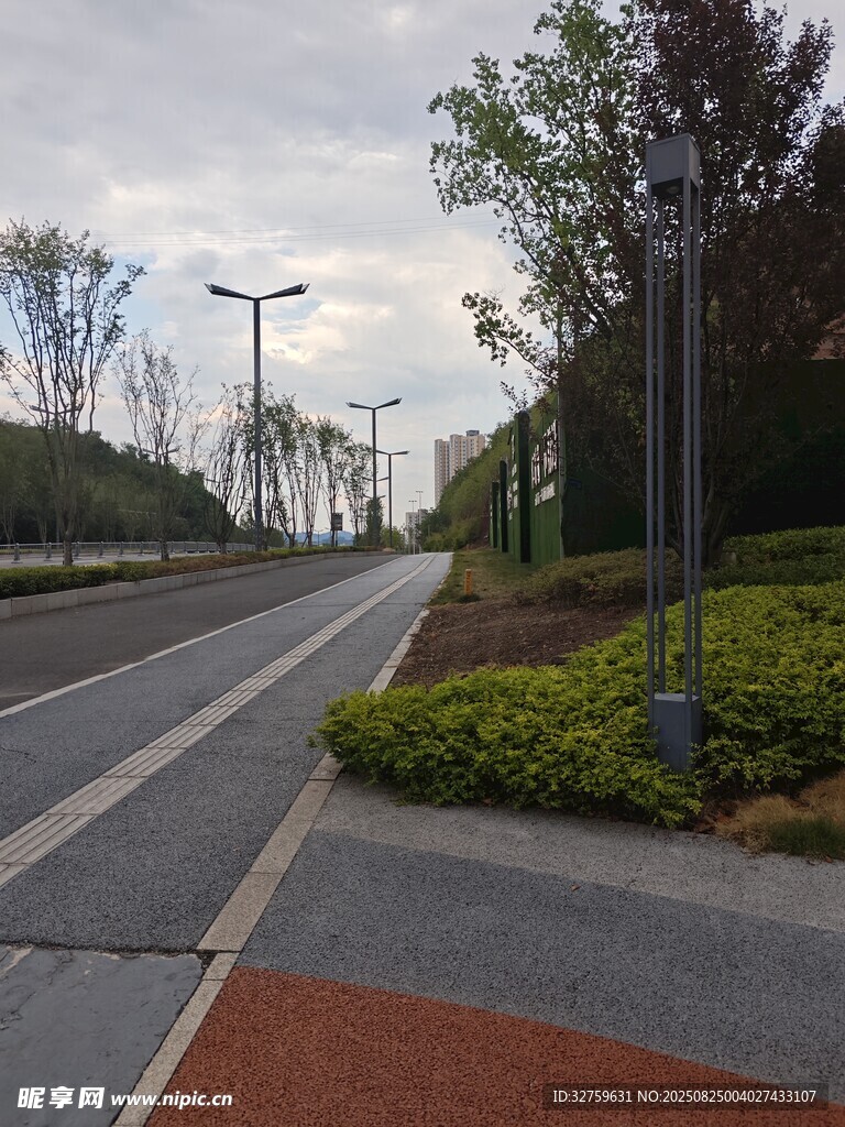 城市中整洁的道路景观