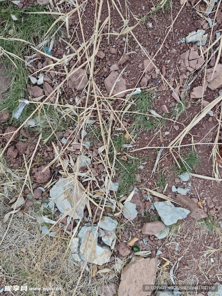 地面碎石与杂草景象