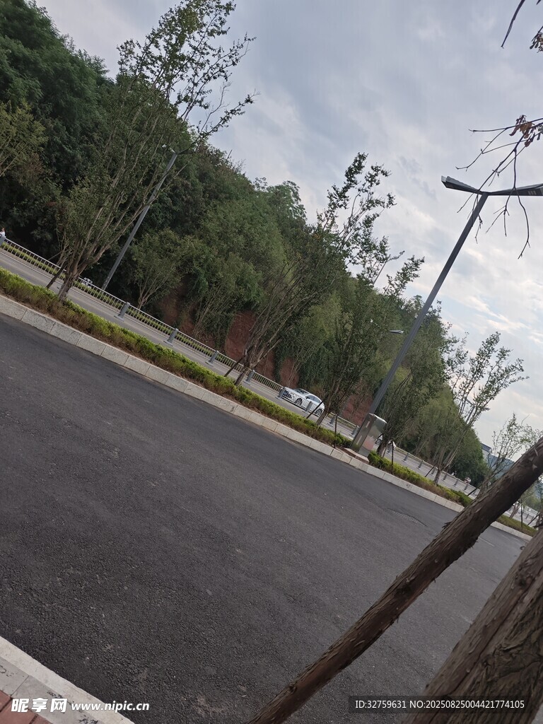 空旷道路旁的绿树景观