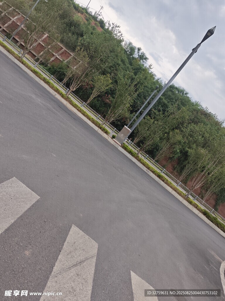 空旷道路与路旁绿植景观