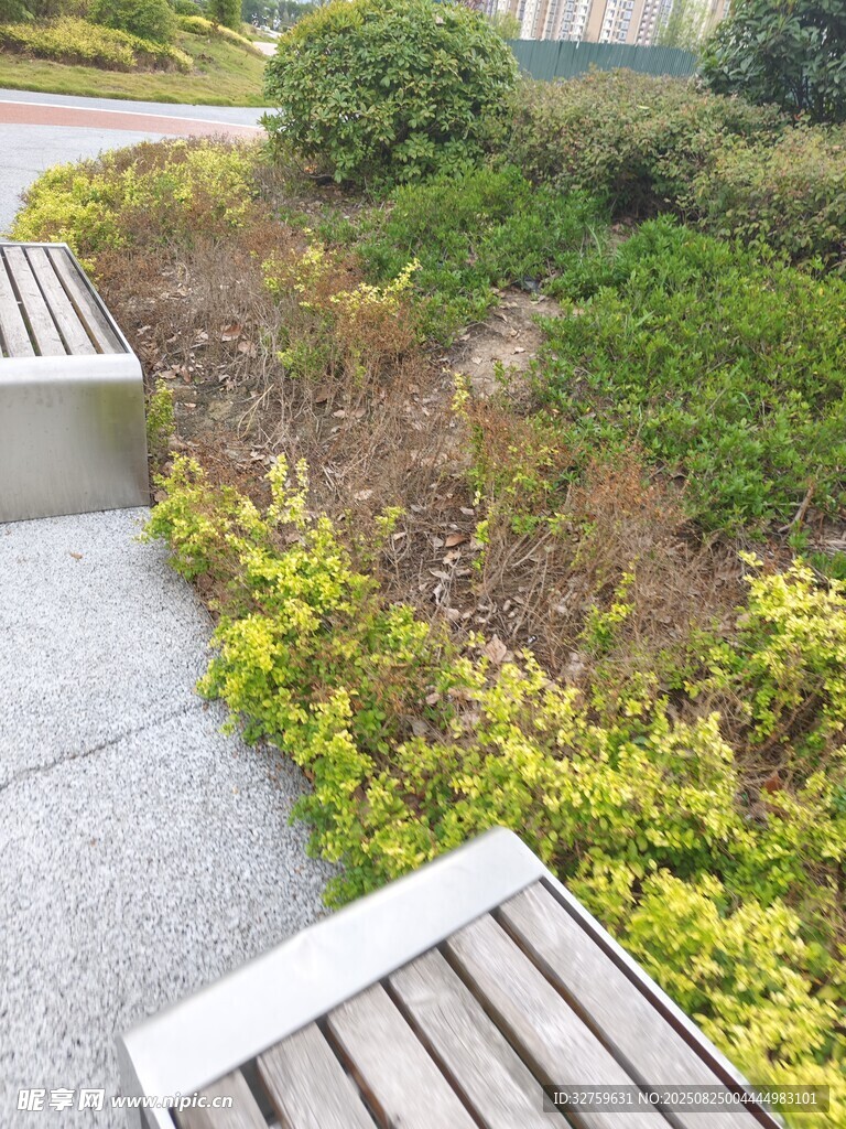 户外休闲区的绿植与长椅